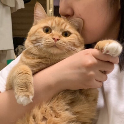  P̶i̶c̶t̶u̶r̶e̶ m̶e̶ g̶o̶n̶e