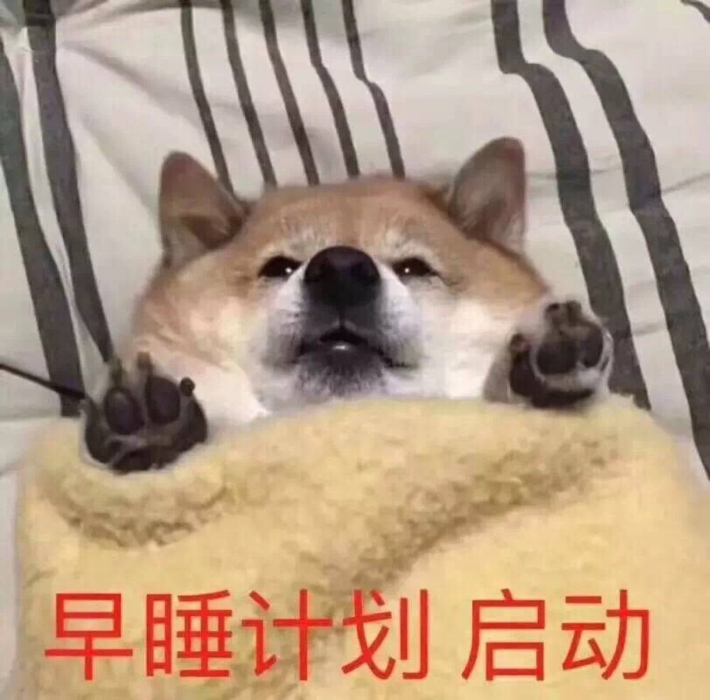 表情