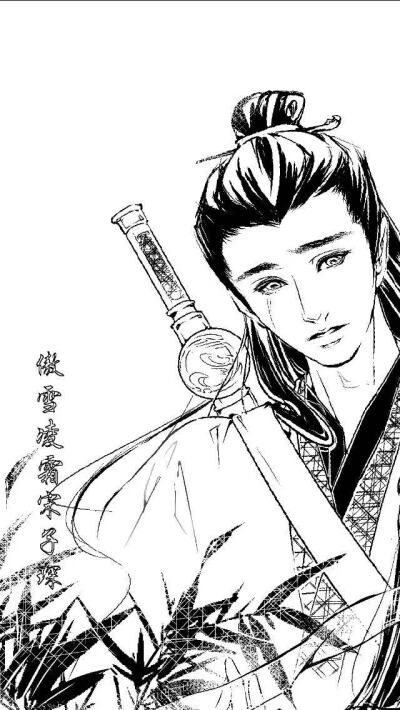 《陈情令》 美人CP众多，但我只磕双道长！！！BY：画手青响