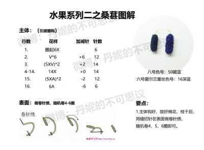 水果系列二之桑葚1/1