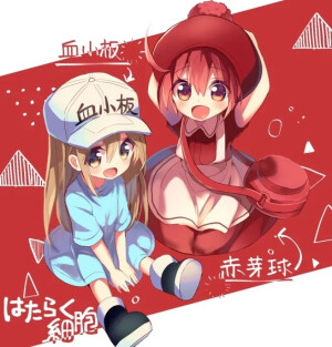 工作，工作(ง˃̀ꄃ˂́)۶