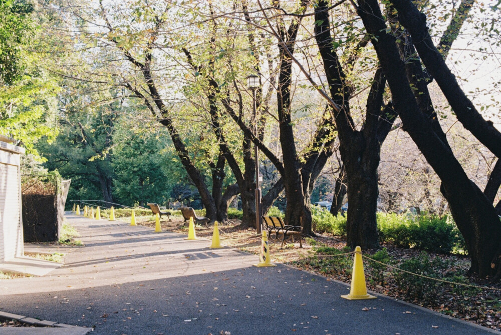 东京日和