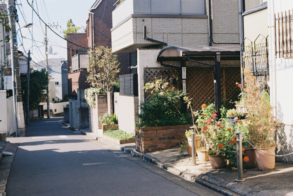 東京日和