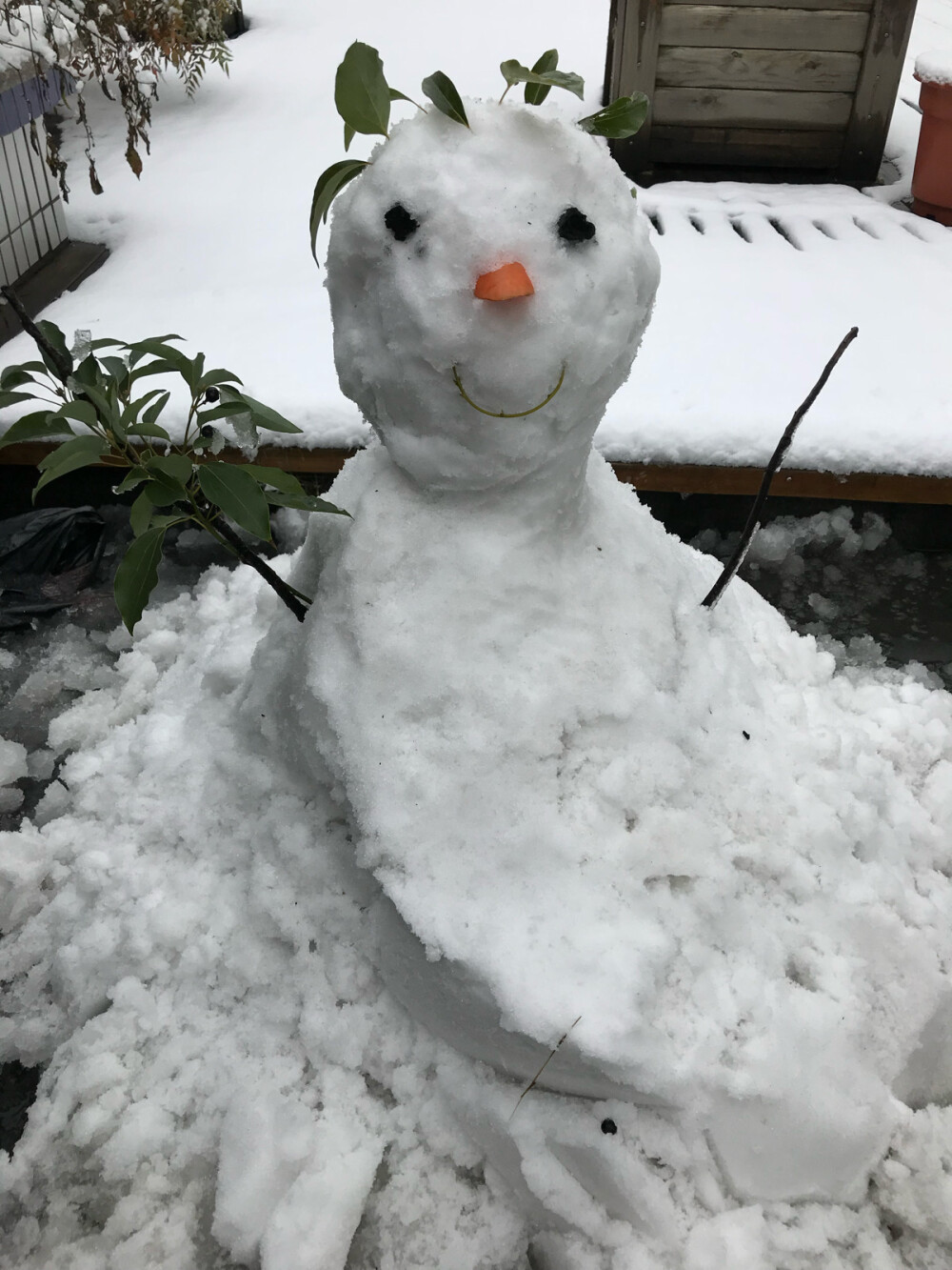 雪人