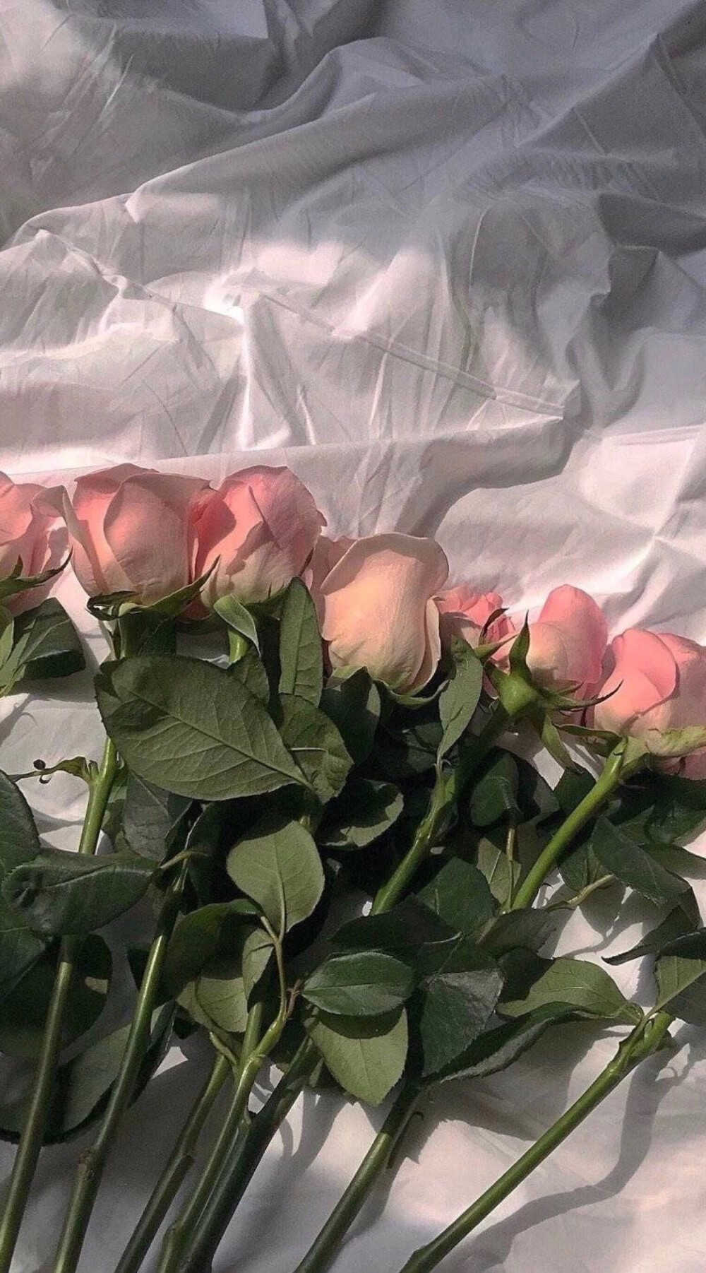 我来晚了，小伙伴们最近太忙了一直没抽出时间更新，希望不要掉粉啊♥️