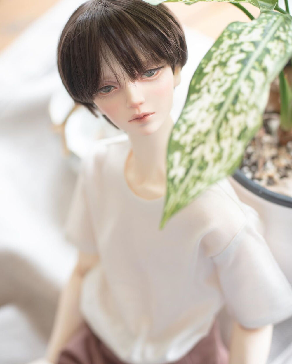 BJD♡
