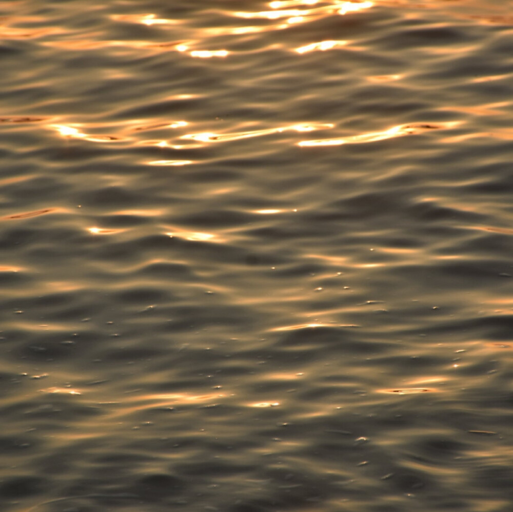 微博 ©有玉而安