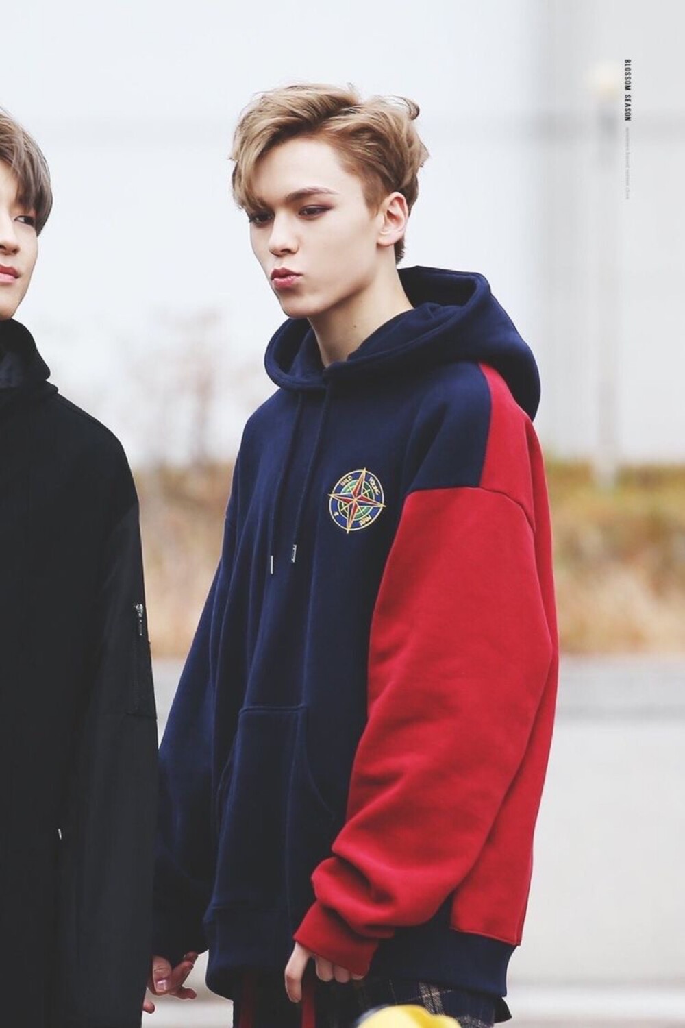 vernon