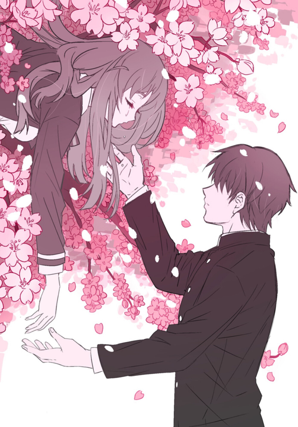 佐贺偶像是传奇源樱巽幸太郎