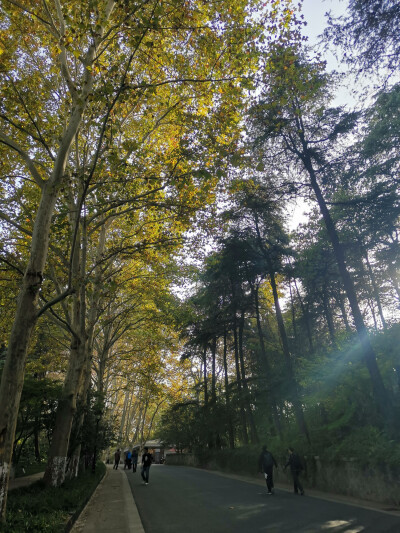 行程｜雨花台风景区&烈士纪念馆