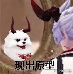 阴阳师表情包