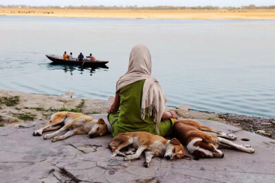 『自然摄影』
人与动物 | 人文摄影大师Steve McCurry ​​​
cr：CNU＿blank