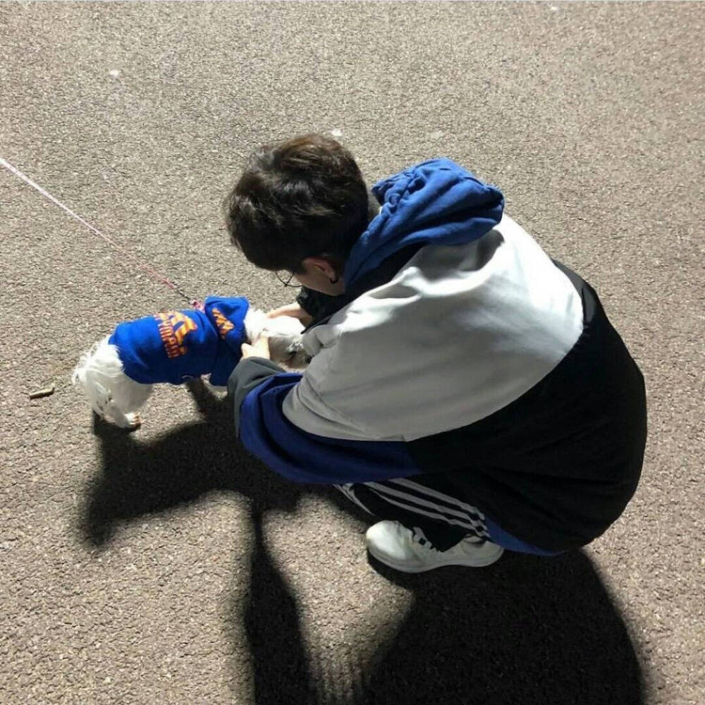 玩网男头