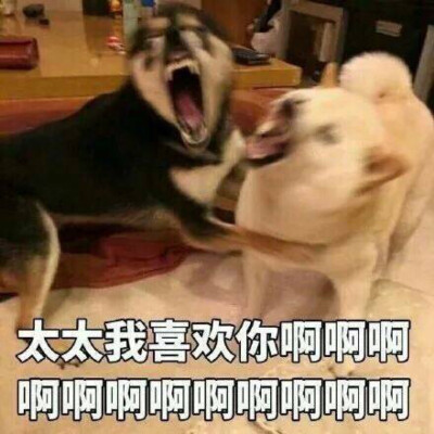 啦啦啦