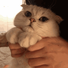 不要做那个一换季就感冒的小笨蛋