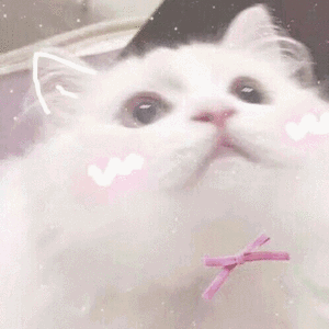 不要做那个一换季就感冒的小笨蛋