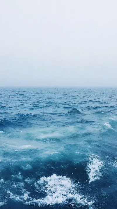 海