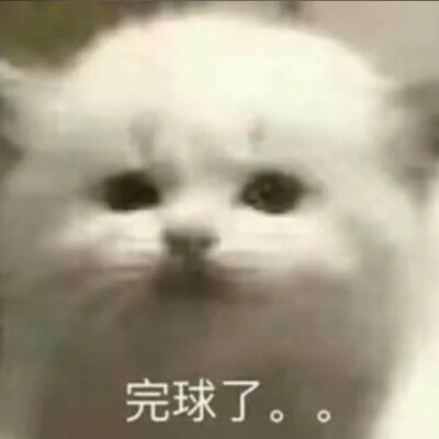 ✧ʕ̢̣̣̣̣̩̩̩̩·͡˔·ོɁ̡̣̣̣̣̩̩̩̩✧