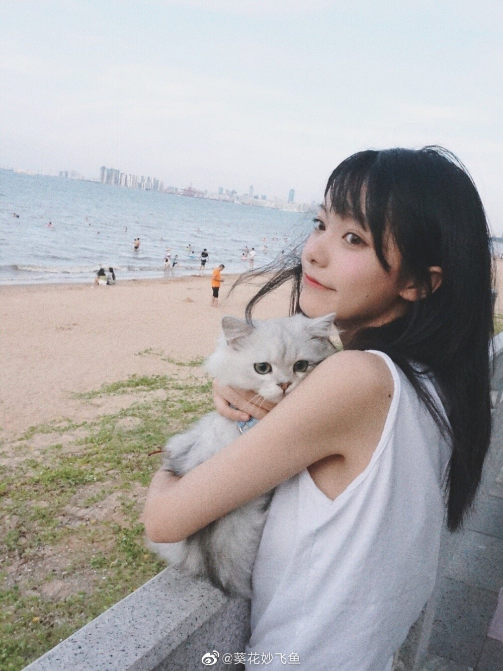 图源微博葵花妙飞鱼