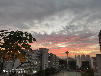 广州晚霞
广东财经大学