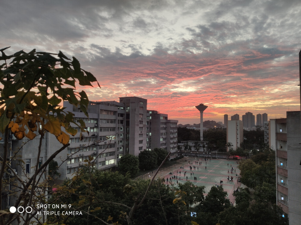 广州晚霞
广东财经大学
http://lib.gdufe.edu.cn/