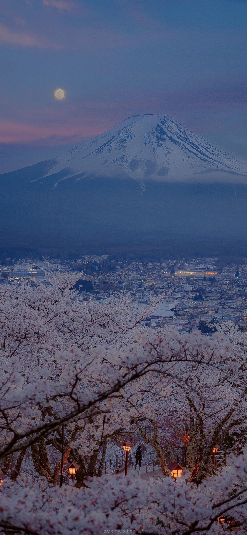 富士山