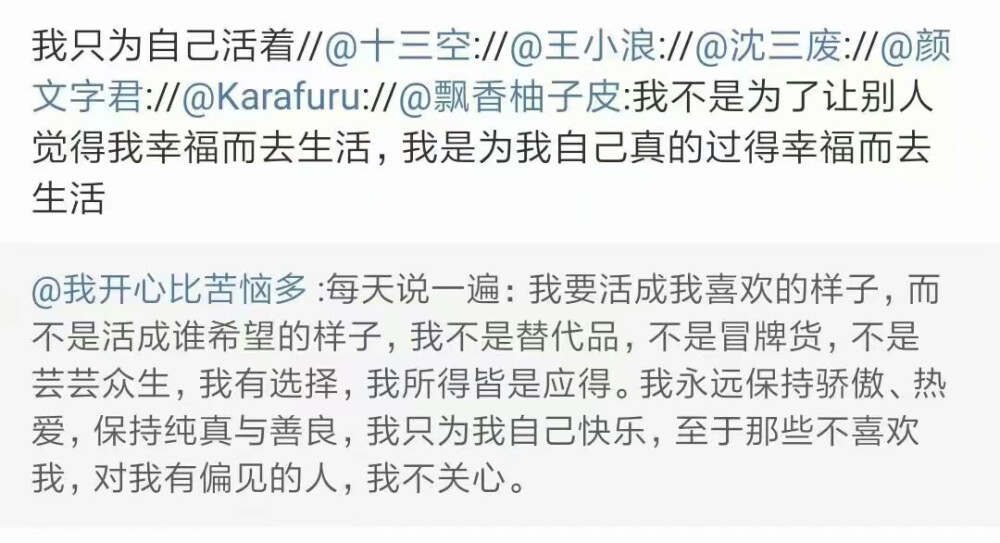 自己喜欢的东西 就不要再征询他人意见了 人生这点责任 自己负