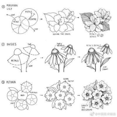 花朵的画法，求作者名字。