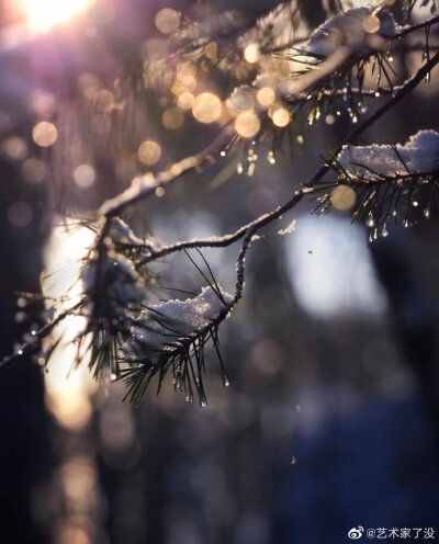 雪 花