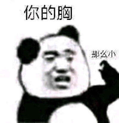 网