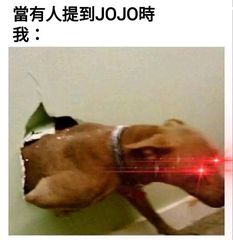 jojo表情包
