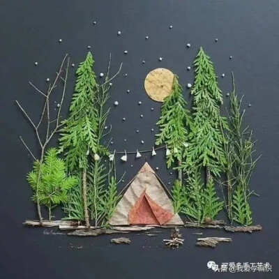 树叶画