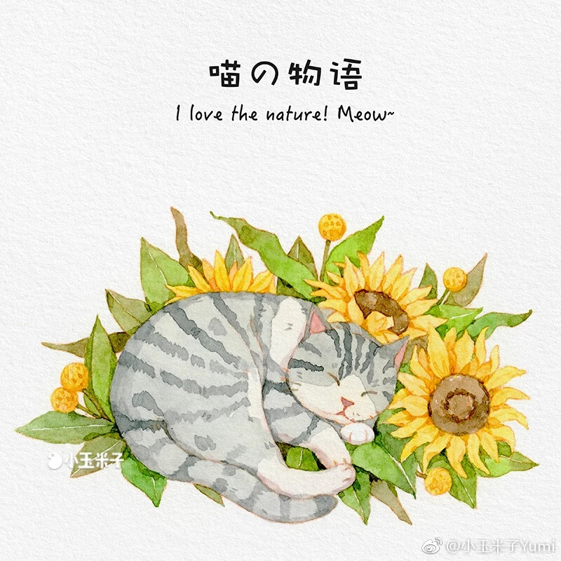 猫和花