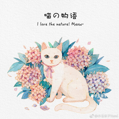 猫和花