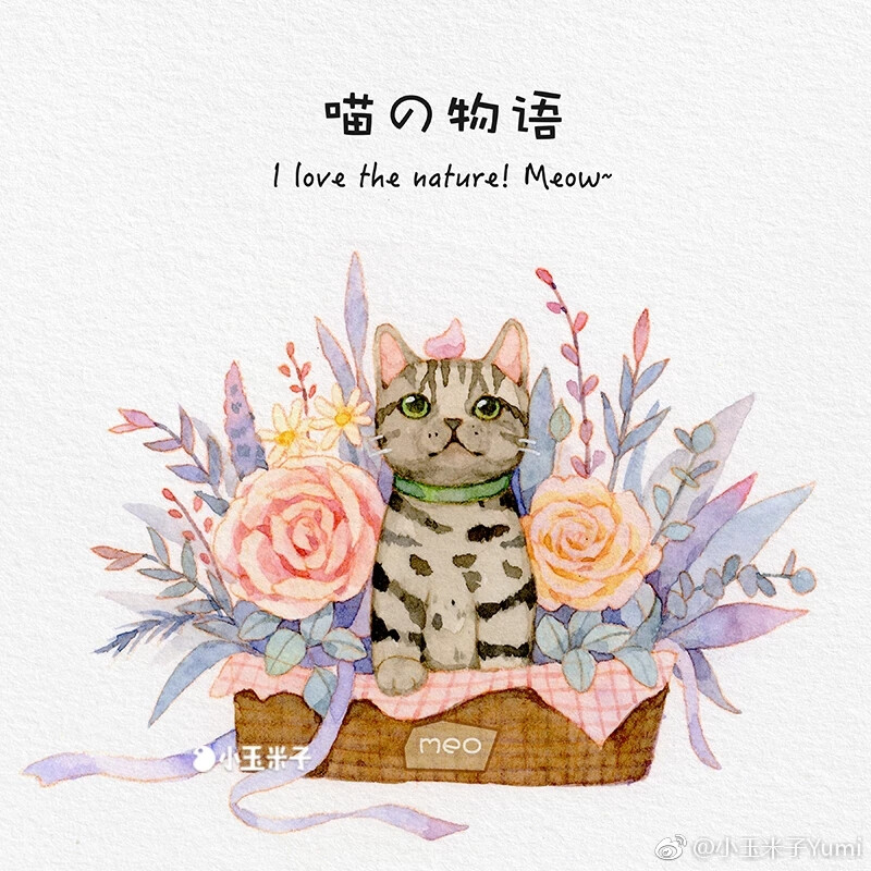 猫和花