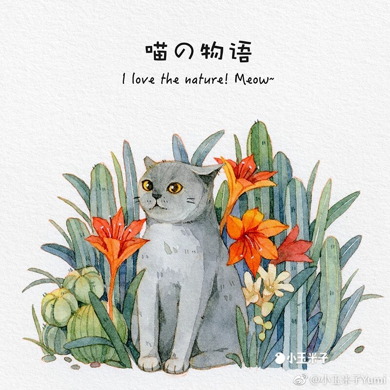 猫和花