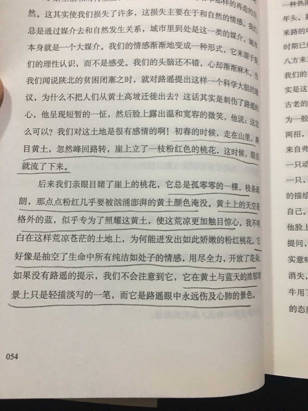 我们闻说陕北的贫困闭塞之时，就对路遥提出这样一个科学大胆的建议，为什么不把人们从黄土高坡迁徒出去？这话其实是伤了路遥的心，他呈现短暂的一怔，然后脸上露出温和宽容的微笑，他说：这怎么可以？我们对这土地是很有感情的啊！初春的时候，走在山里，满目黄土，忽然峰回路转，崖上立了一枝粉红色的桃花，这时候，眼泪就流了下来。
后来我们亲眼目睹了崖上的桃花，它总是孤零零的一棵，枝条疏朗，那点点粉红几乎要被汹涌澎湃的黄土颜色淹没。黄土上的天空是格外的蓝，似乎专为了照耀这黄土，使这荒凉更加触目惊心。我不明白在这样荒凉苍茫的土地上，为何能进发出如此娇嫩的粉红桃花。它好像是抽空了生命中所有纯洁如处子的情感，用尽全力，开放了花来，如果没有路遥的提示，我们不会注意到它，它在黄土与蓝天的浓郁背景上只是轻描淡写的一笔，而它是路遥眼中永远伤及心肺的景色。—— 《今夜星光灿烂》王安忆