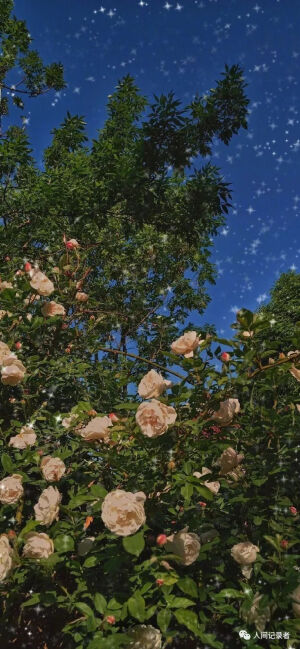 下一刻，希望依旧美好。