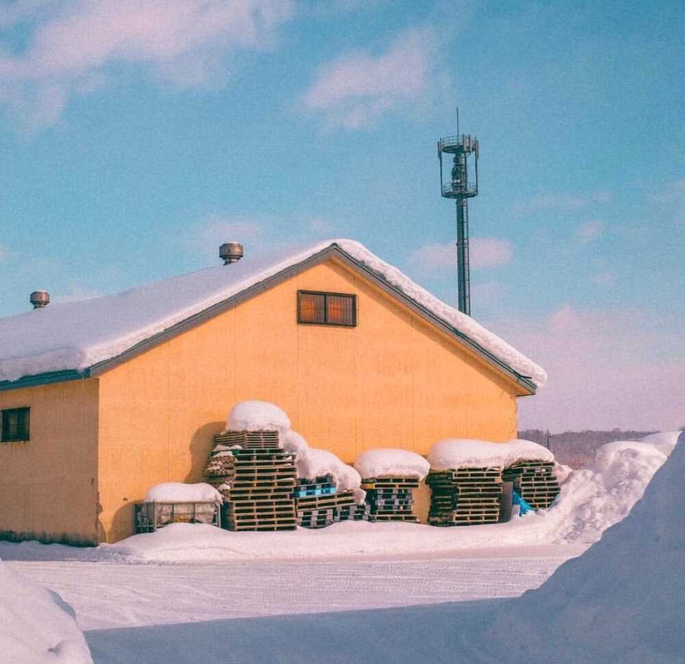 雪中房屋