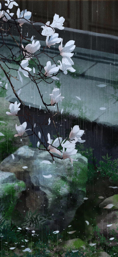 雨打落花