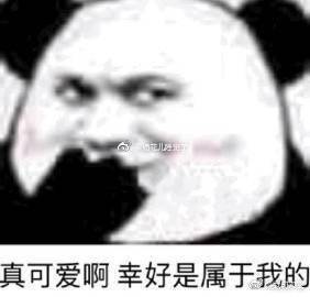 聊天必备表情包