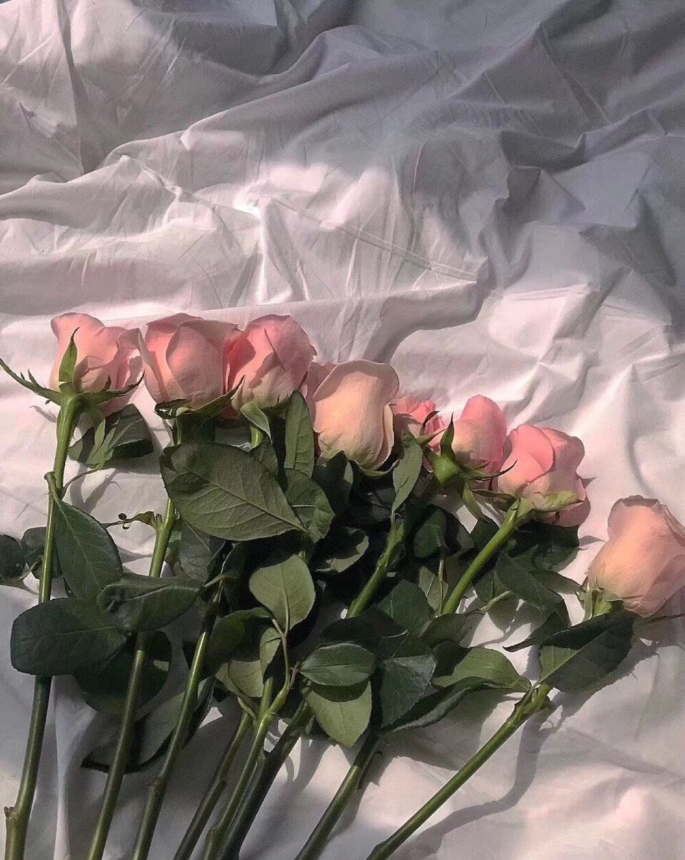 热爱可抵岁月漫长