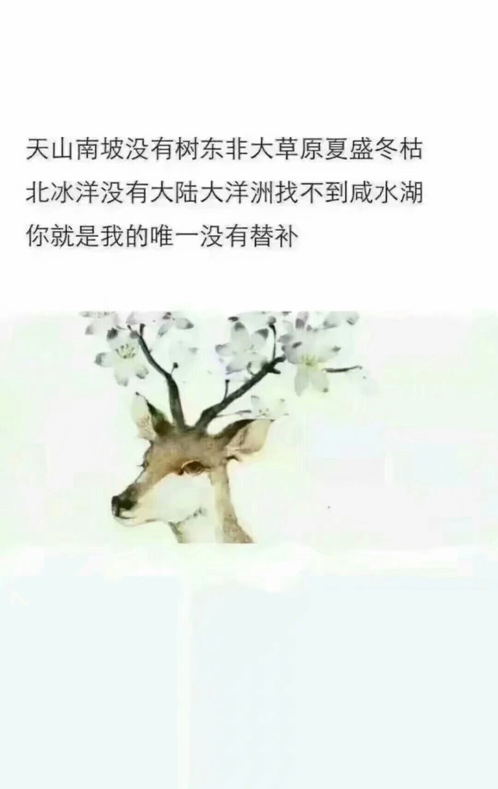 富有地理知识的表白文字