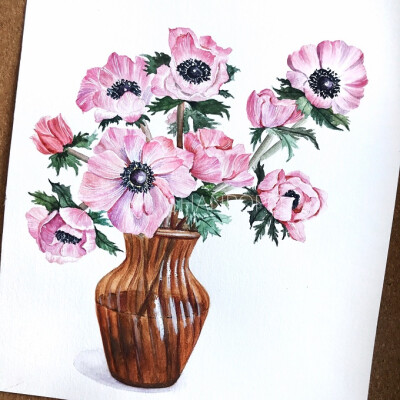 水彩 手绘 插画 绘画 植物 花卉 花艺 小清新