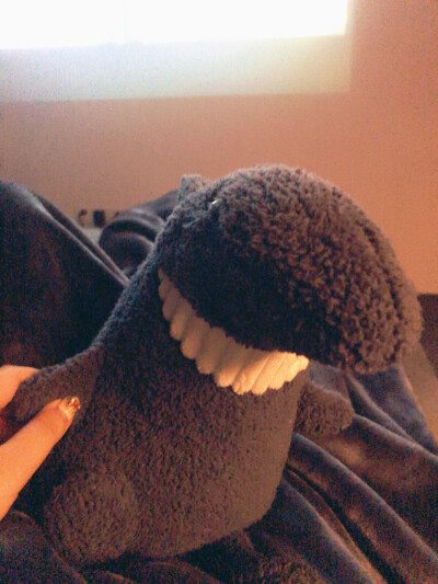 smiling shark and my boy