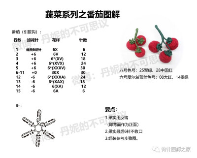 蔬菜系列番茄1/2