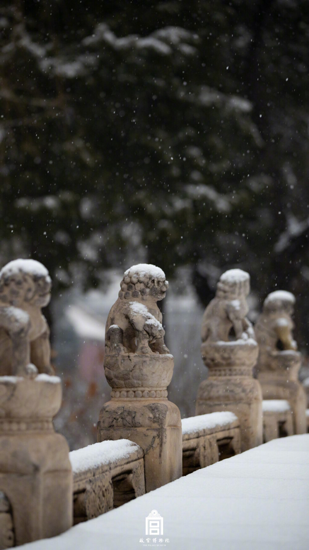 “撞见你 撞见了一日好心情” ​​​
-故宫初雪❄️
早安♡