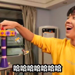 b站up主老番茄