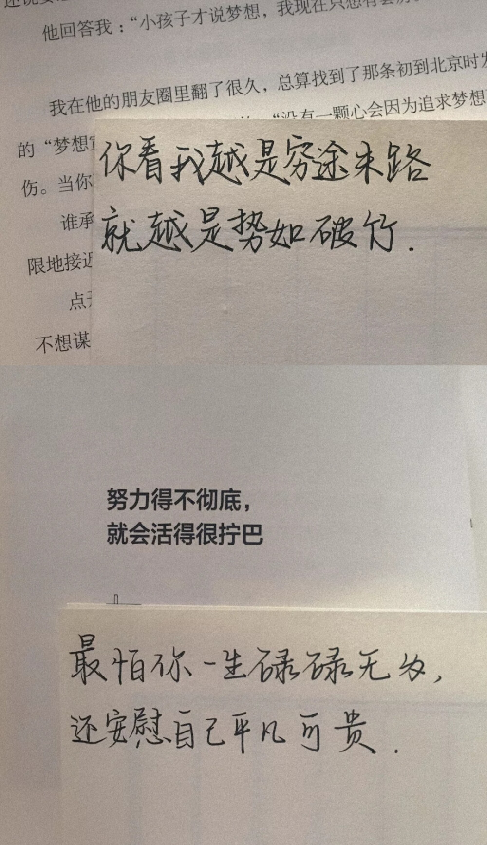 快手鹿南望 自截 转载请注明 堆糖美人nnn