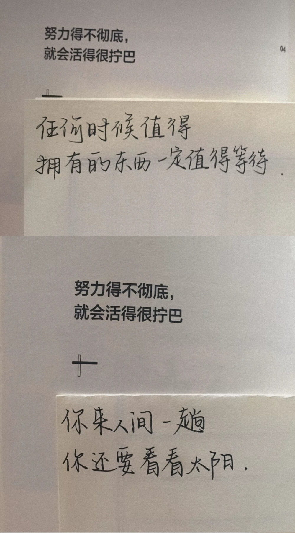 快手鹿南望 自截 转载请注明 堆糖美人nnn